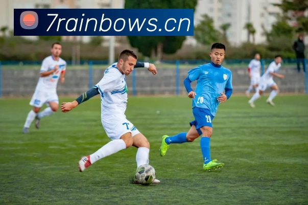 2023女排世锦赛数据全景:技术统计、球队排名与趋势解读